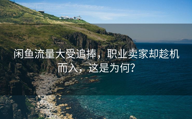 闲鱼流量大受追捧，职业卖家却趁机而入，这是为何？