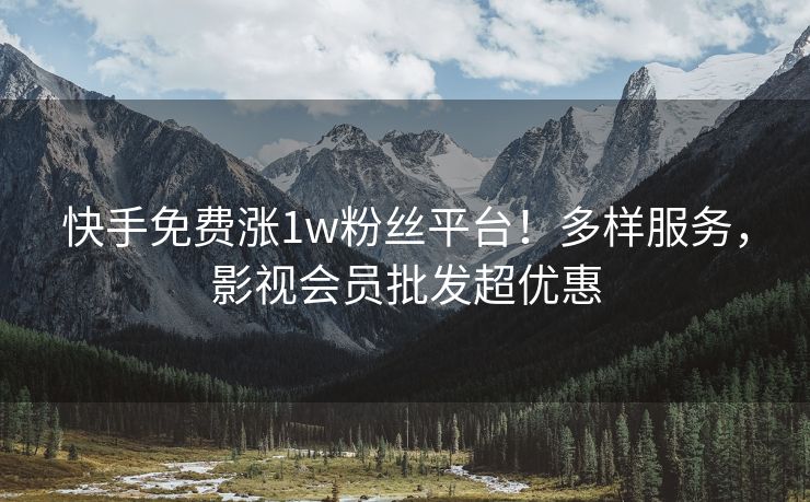 快手免费涨1w粉丝平台！多样服务，影视会员批发超优惠