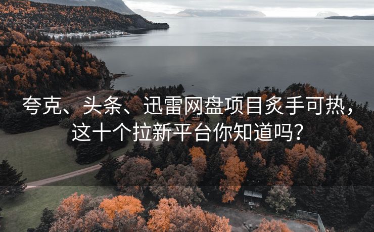 夸克、头条、迅雷网盘项目炙手可热，这十个拉新平台你知道吗？
