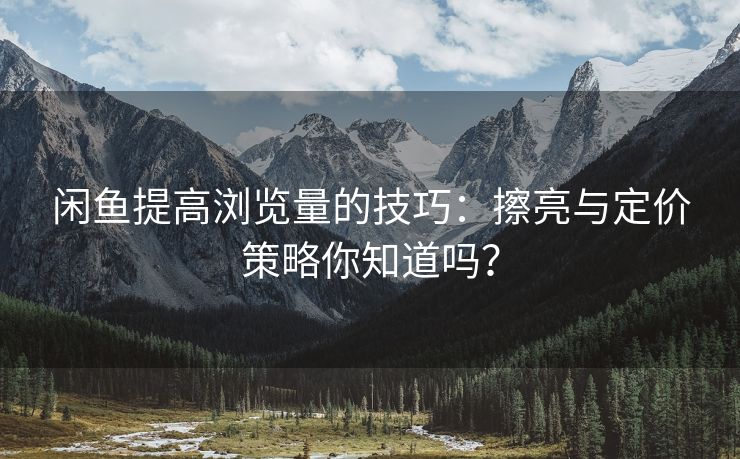 闲鱼提高浏览量的技巧：擦亮与定价策略你知道吗？
