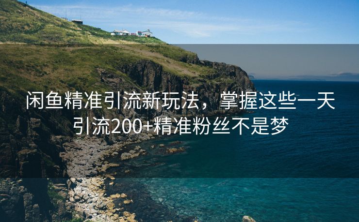 闲鱼精准引流新玩法，掌握这些一天引流200+精准粉丝不是梦