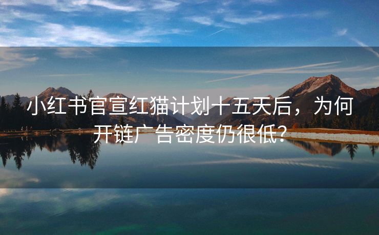 小红书官宣红猫计划十五天后，为何开链广告密度仍很低？