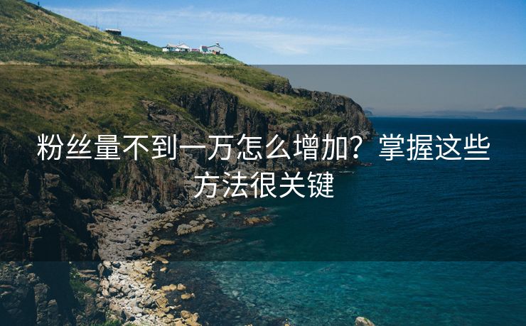 粉丝量不到一万怎么增加？掌握这些方法很关键