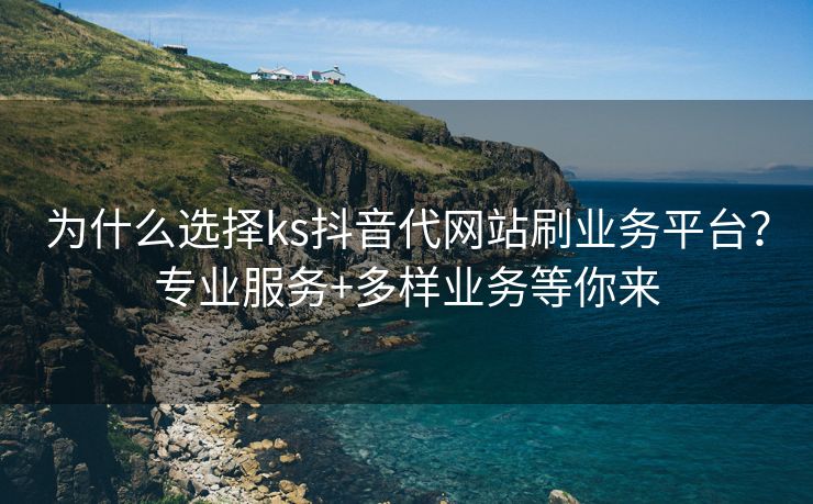 为什么选择ks抖音代网站刷业务平台？专业服务+多样业务等你来