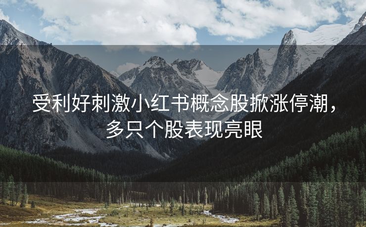 受利好刺激小红书概念股掀涨停潮，多只个股表现亮眼