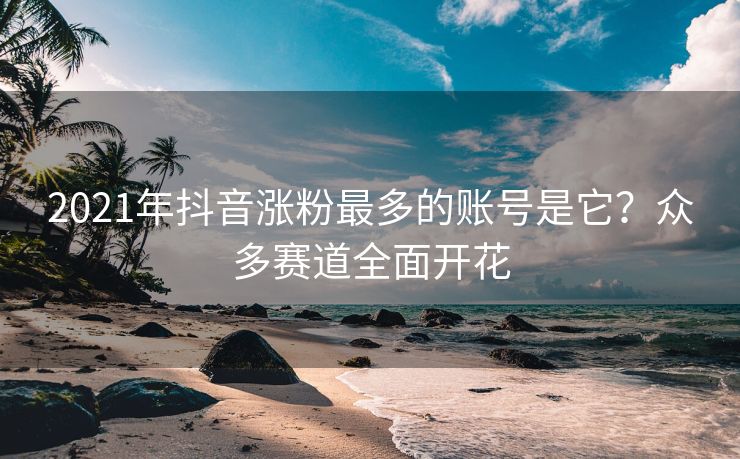 2021年抖音涨粉最多的账号是它？众多赛道全面开花