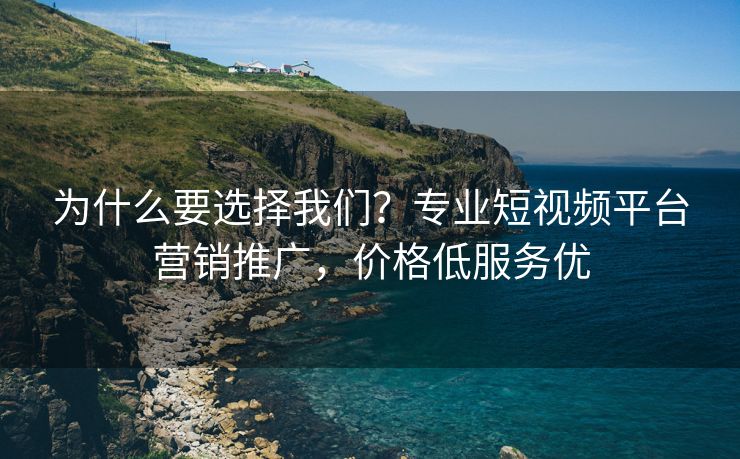 为什么要选择我们？专业短视频平台营销推广，价格低服务优