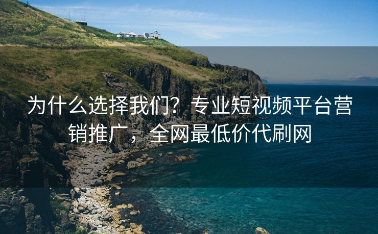 为什么选择我们？专业短视频平台营销推广，全网最低价代刷网