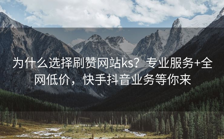 为什么选择刷赞网站ks？专业服务+全网低价，快手抖音业务等你来