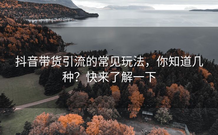 抖音带货引流的常见玩法，你知道几种？快来了解一下