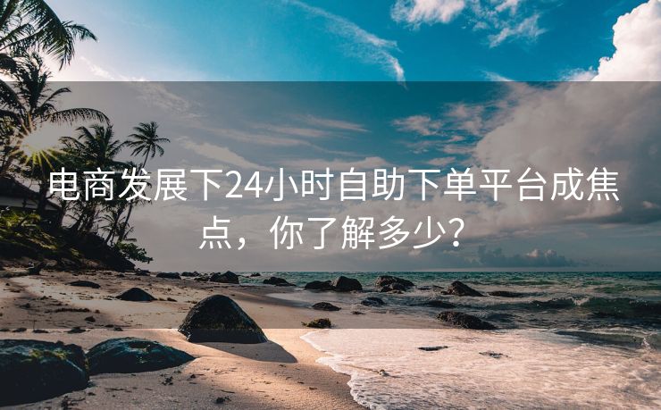 电商发展下24小时自助下单平台成焦点，你了解多少？