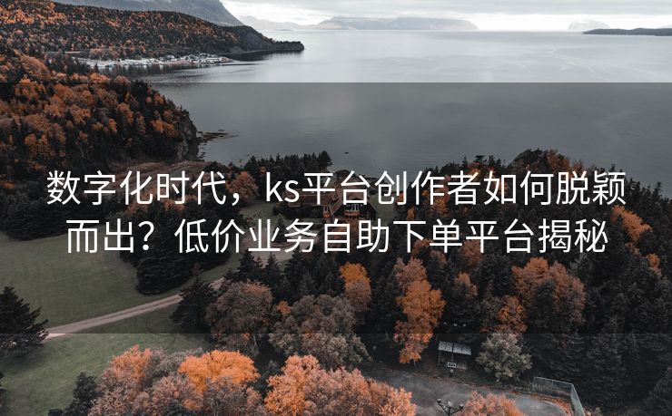 数字化时代，ks平台创作者如何脱颖而出？低价业务自助下单平台揭秘