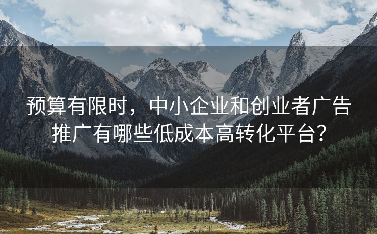 预算有限时，中小企业和创业者广告推广有哪些低成本高转化平台？