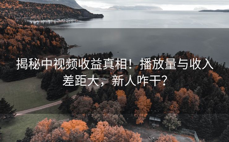 揭秘中视频收益真相！播放量与收入差距大，新人咋干？