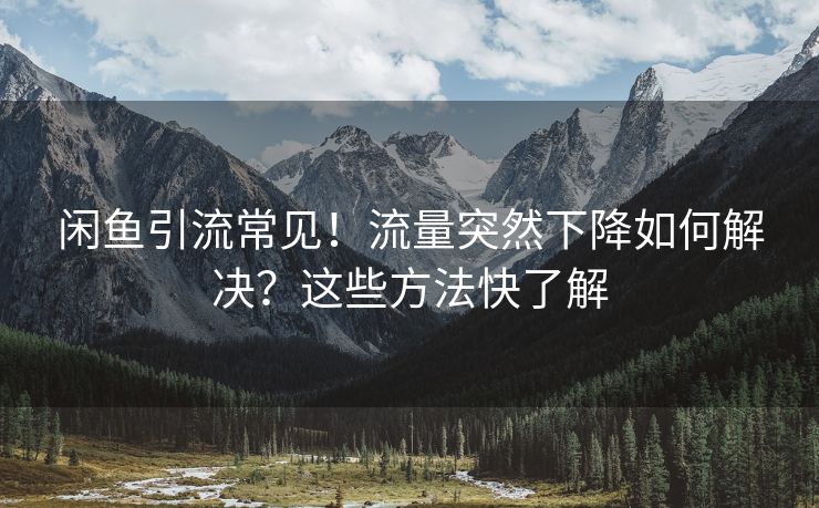闲鱼引流常见！流量突然下降如何解决？这些方法快了解
