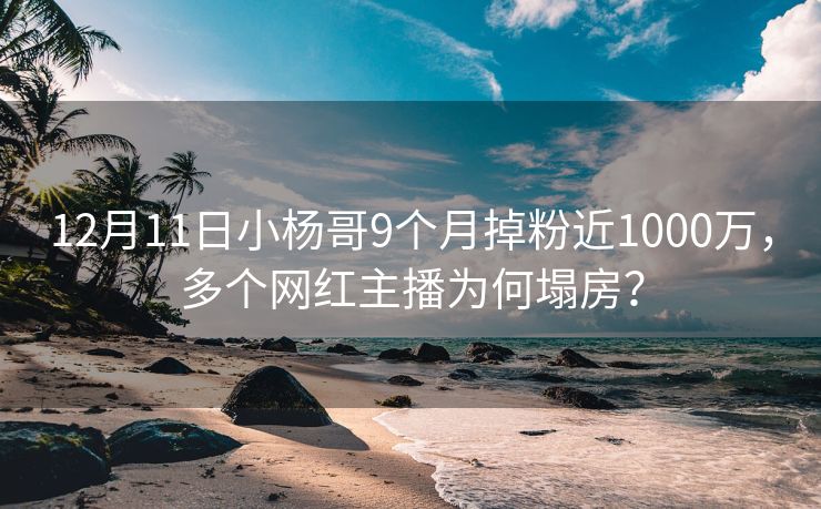 12月11日小杨哥9个月掉粉近1000万，多个网红主播为何塌房？