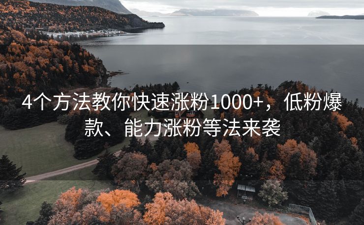 4个方法教你快速涨粉1000+，低粉爆款、能力涨粉等法来袭