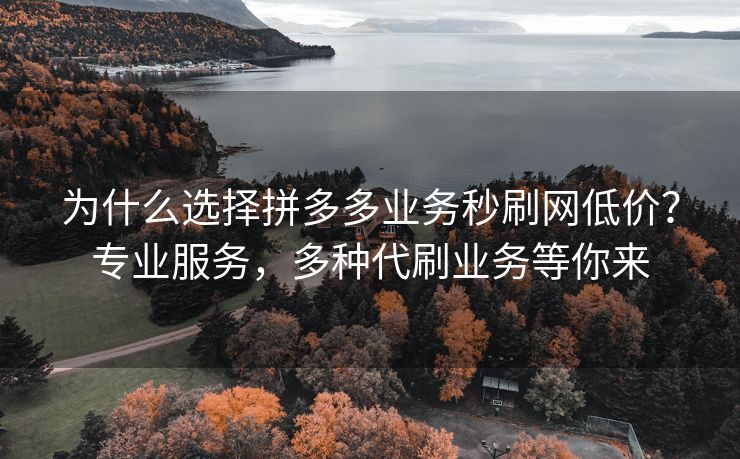 为什么选择拼多多业务秒刷网低价？专业服务，多种代刷业务等你来