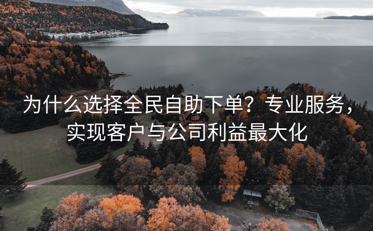 为什么选择全民自助下单？专业服务，实现客户与公司利益最大化