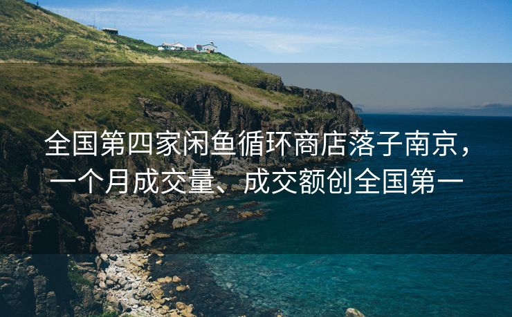 全国第四家闲鱼循环商店落子南京，一个月成交量、成交额创全国第一
