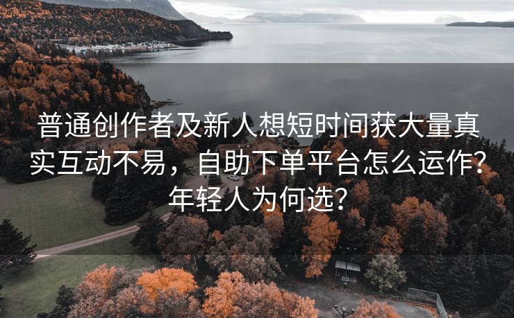 普通创作者及新人想短时间获大量真实互动不易，自助下单平台怎么运作？年轻人为何选？