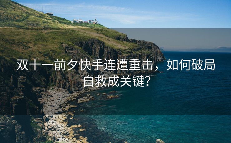 双十一前夕快手连遭重击，如何破局自救成关键？