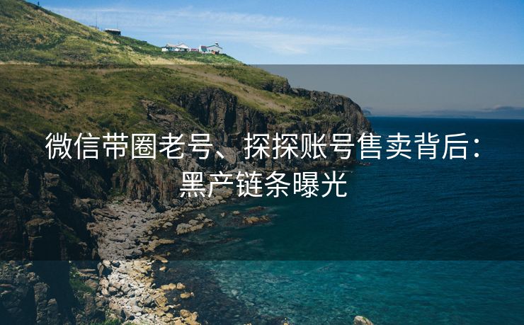 微信带圈老号、探探账号售卖背后：黑产链条曝光