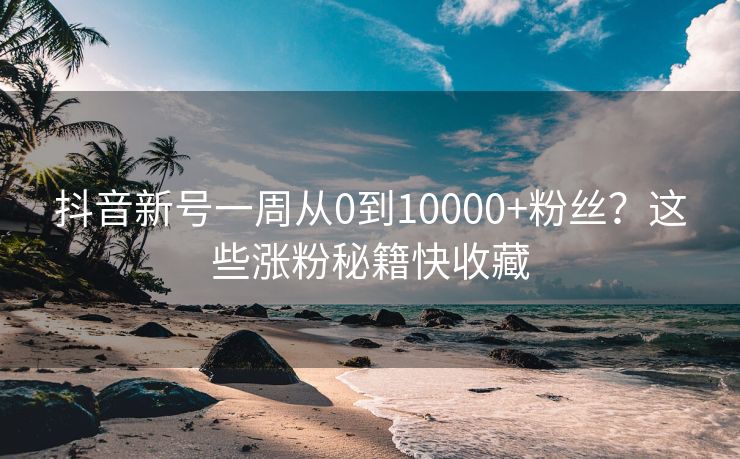 抖音新号一周从0到10000+粉丝？这些涨粉秘籍快收藏