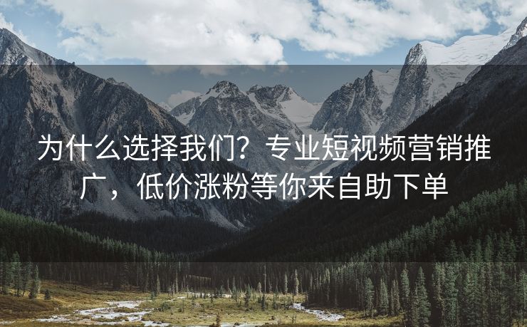 为什么选择我们？专业短视频营销推广，低价涨粉等你来自助下单