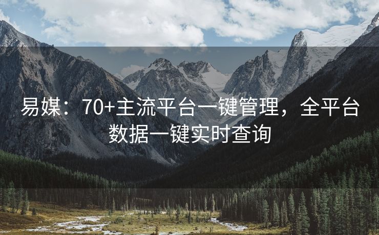 易媒：70+主流平台一键管理，全平台数据一键实时查询