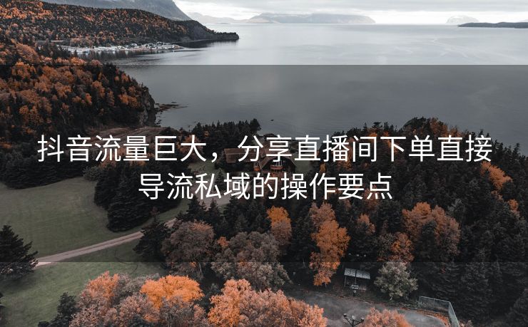 抖音流量巨大，分享直播间下单直接导流私域的操作要点