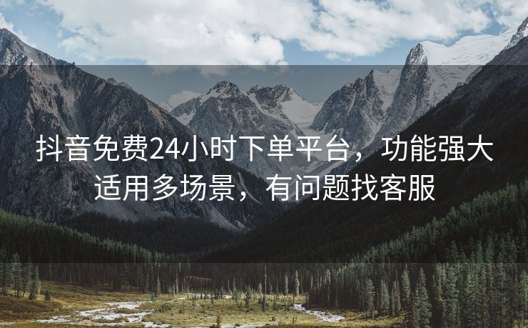 抖音免费24小时下单平台，功能强大适用多场景，有问题找客服
