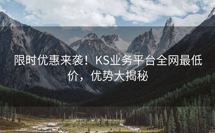 限时优惠来袭！KS业务平台全网最低价，优势大揭秘