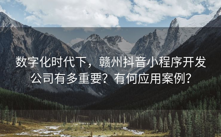 数字化时代下，赣州抖音小程序开发公司有多重要？有何应用案例？