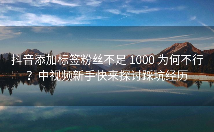 抖音添加标签粉丝不足 1000 为何不行？中视频新手快来探讨踩坑经历
